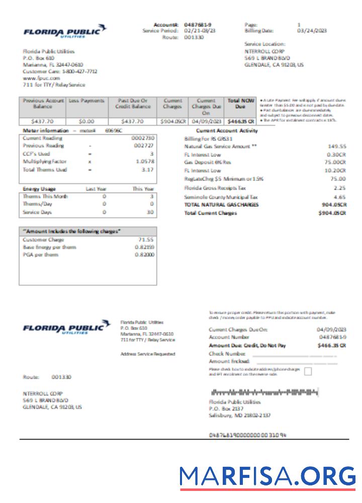 Realistic Florida Public Utilities utility business bill, SCR template